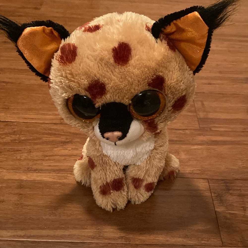 Buckwheat the lynx